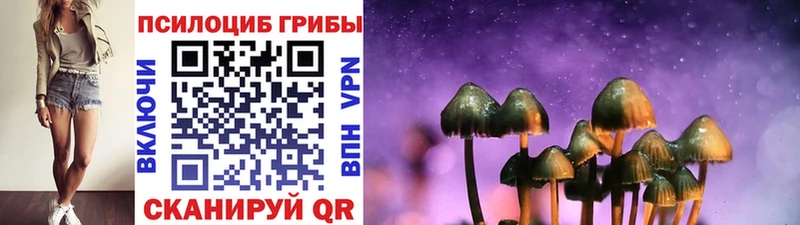 Галлюциногенные грибы ЛСД  Купить закладки  Арзамас 